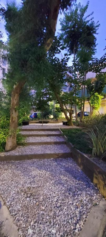 Large 1 Bedroom Penthouse With Large Terrace Athens Exterior photo